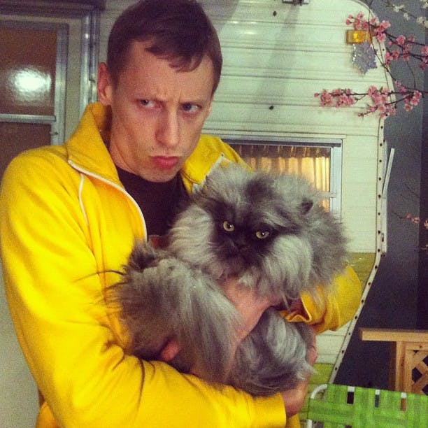 Colonel Meow in pop culture